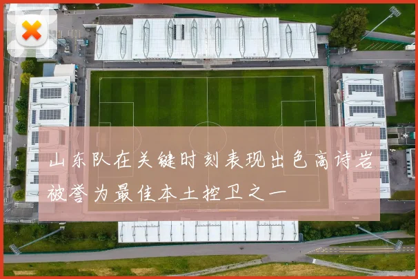 山东队在关键时刻表现出色高诗岩被誉为最佳本土控卫之一