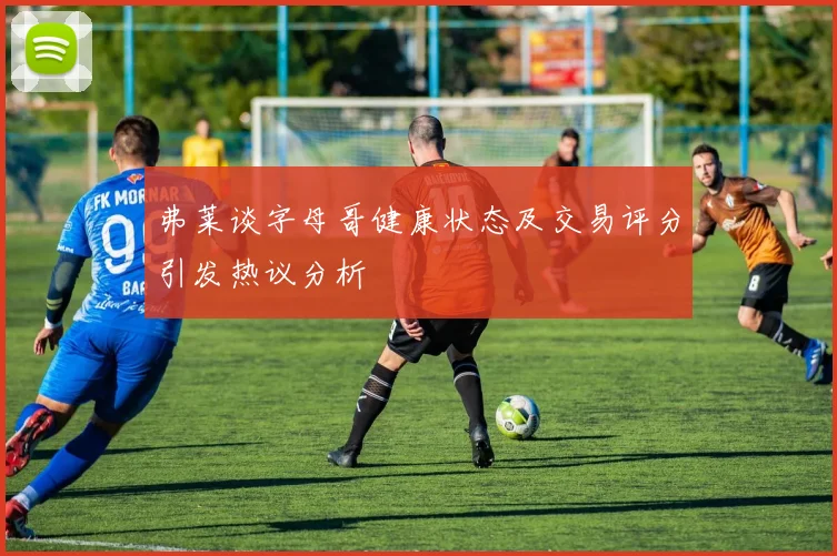 弗莱谈字母哥健康状态及交易评分引发热议分析